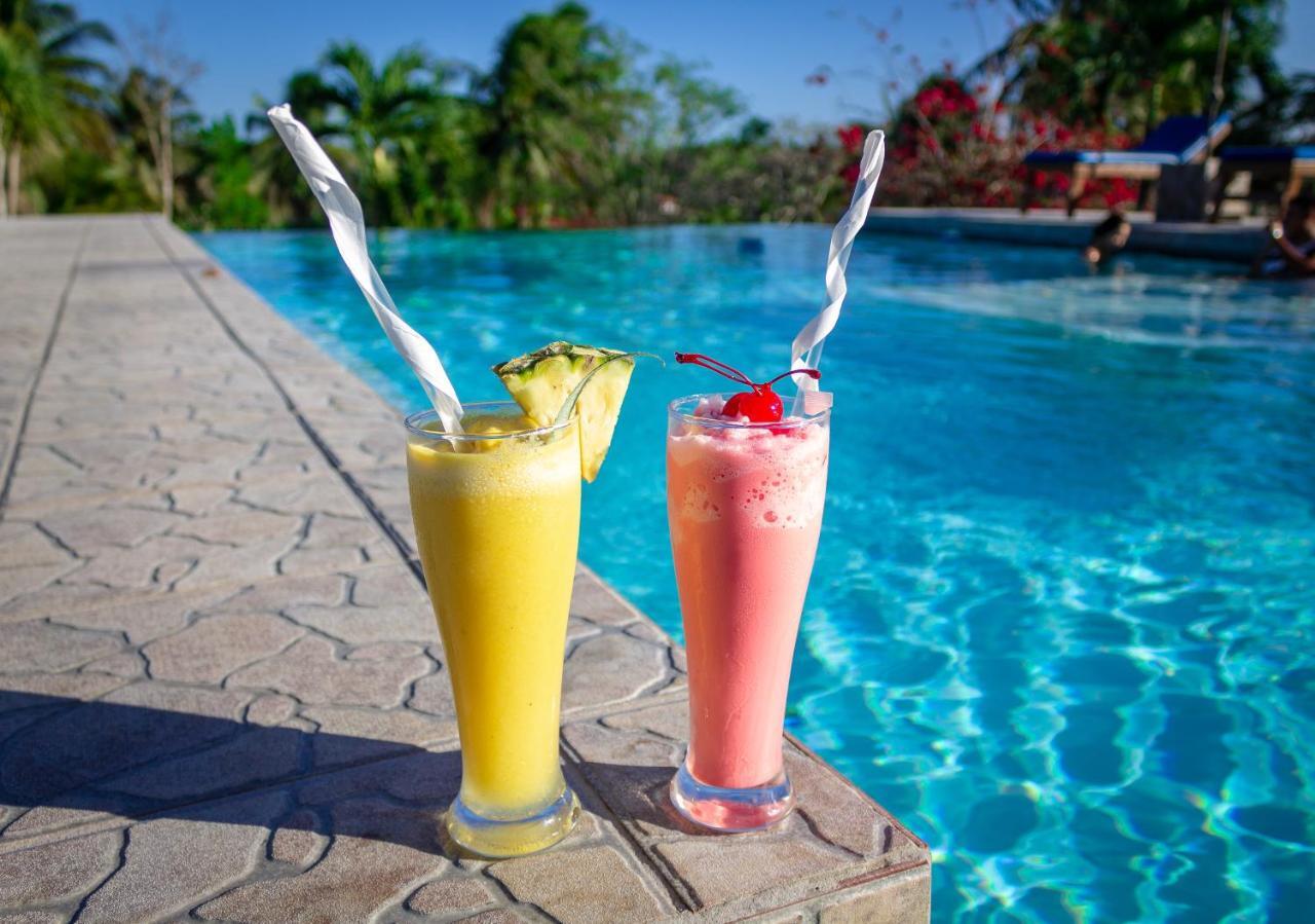 Cassia Hill Resort San Ignacio Εξωτερικό φωτογραφία